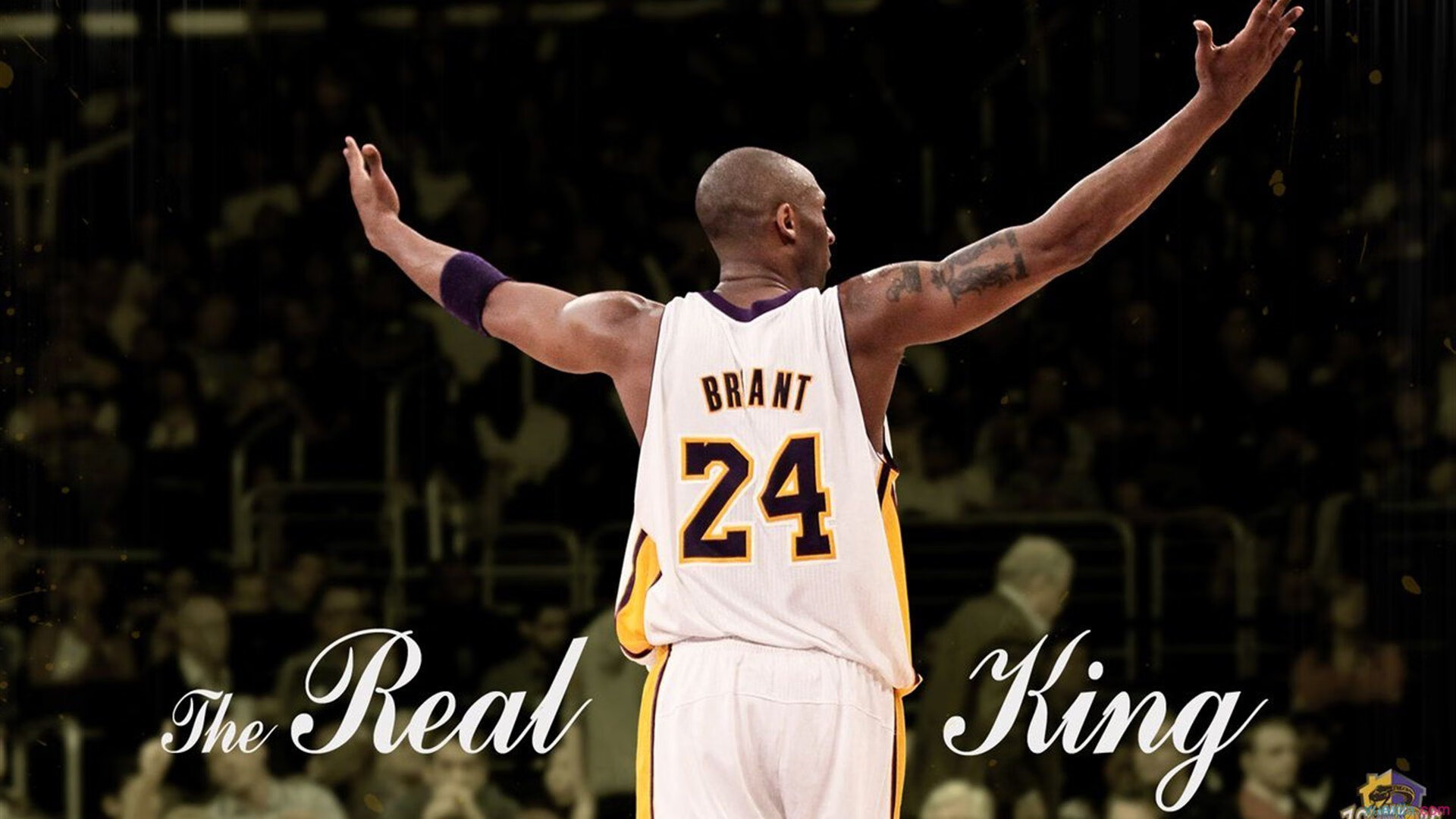 LPL官方合作伙伴名单更新，lpl官方合作伙伴名单更新时间